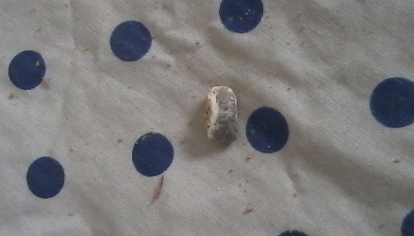 O tiro atingiu uma casa e por sorte não atingiu um senhor e uma criança de 4 anos. O tiro atingiu uma casa e por sorte não atingiu um senhor e uma criança de 4 anos.