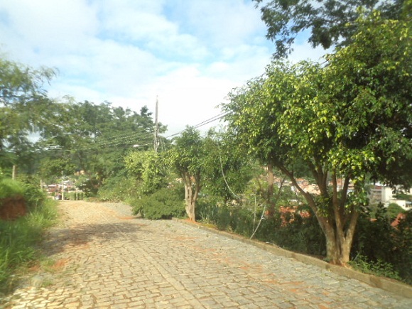 Foto: Nelson Barros Foto: Nelson Barros