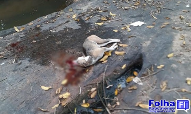 (Fotos: Reprodução/ Facebook/ Amigos de Itaocara) (Fotos: Reprodução/ Facebook/ Amigos de Itaocara)