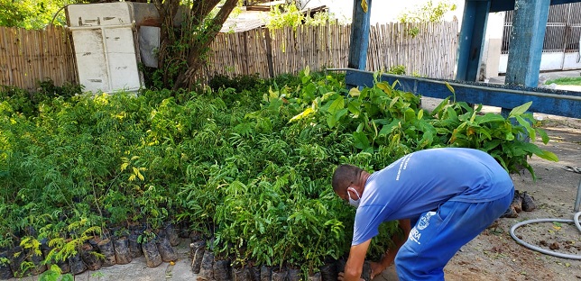 FOTO: DIVULGAÇÃO FOTO: DIVULGAÇÃO