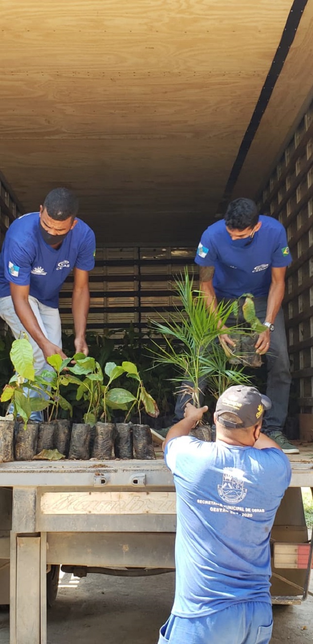 FOTO: DIVULGAÇÃO FOTO: DIVULGAÇÃO