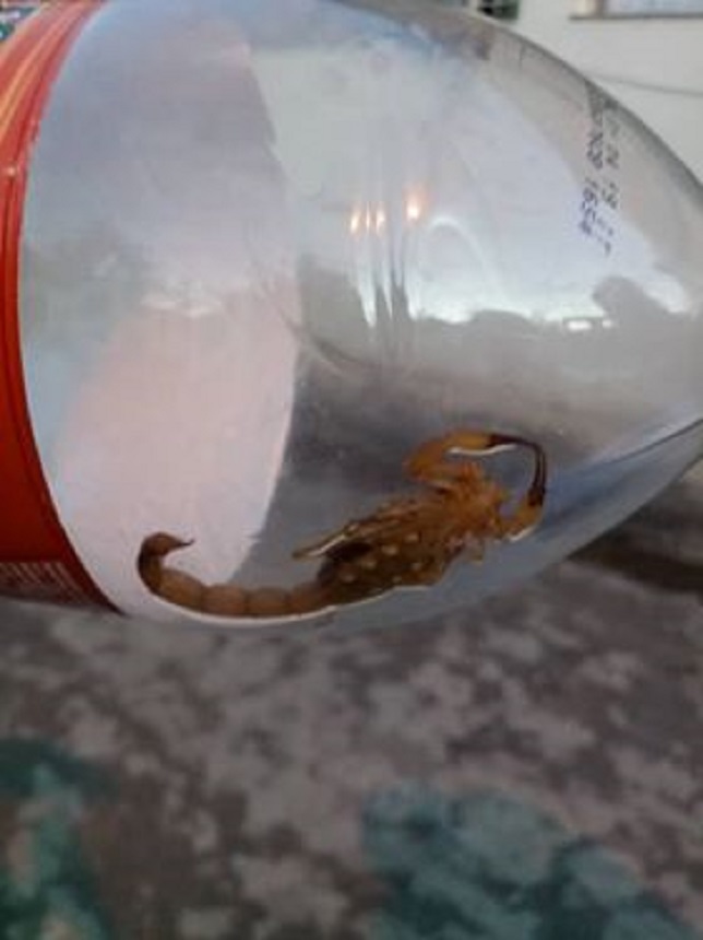 FOTOS ENVIADAS POR UMA MORADORA