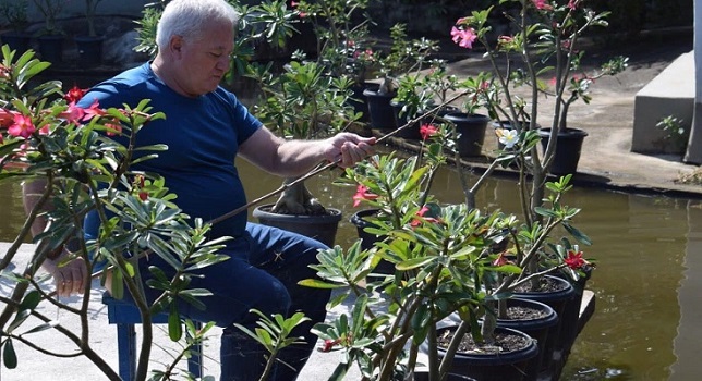 Foto: Jorge Luiz Online Foto: Jorge Luiz Online