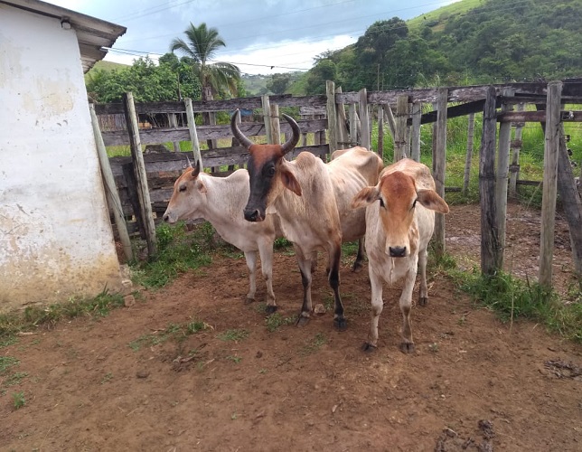 FOTO: DIVULGA&Ccedil;&Atilde;O PMRJ