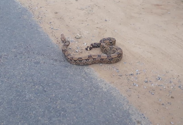 FOTO: DIVULGA&Ccedil;&Atilde;O