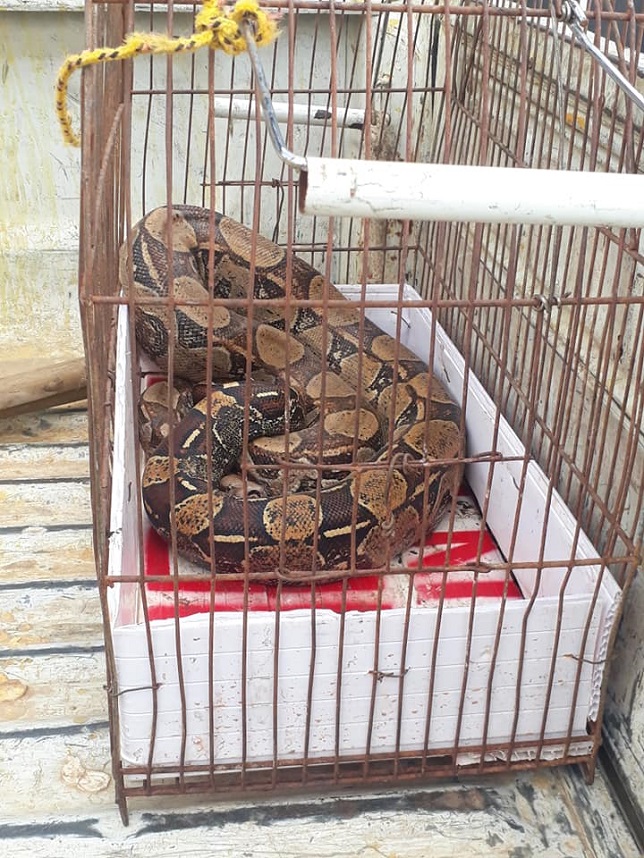 FOTO: DIVULGA&Ccedil;&Atilde;O