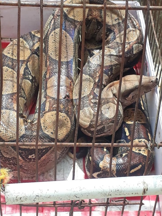 FOTO: DIVULGA&Ccedil;&Atilde;O