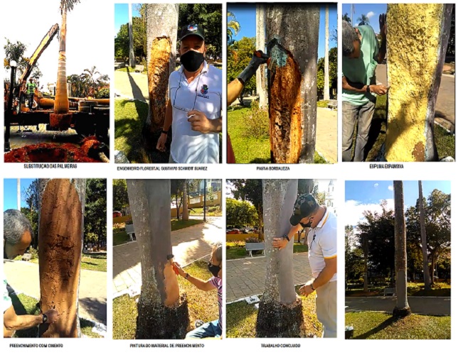 FOTO: DIVULGAÇÃO FOTO: DIVULGAÇÃO