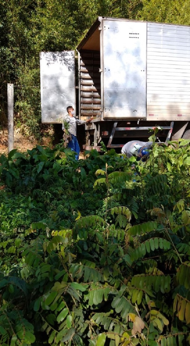 FOTO: DIVULGAÇÃO FOTO: DIVULGAÇÃO